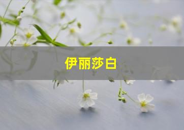 伊丽莎白