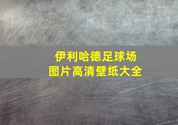 伊利哈德足球场图片高清壁纸大全