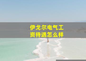 伊戈尔电气工资待遇怎么样