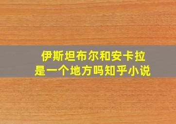 伊斯坦布尔和安卡拉是一个地方吗知乎小说