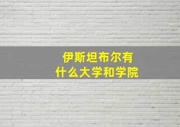 伊斯坦布尔有什么大学和学院