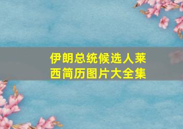 伊朗总统候选人莱西简历图片大全集