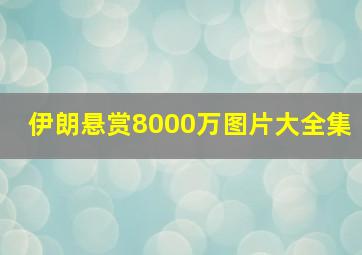 伊朗悬赏8000万图片大全集