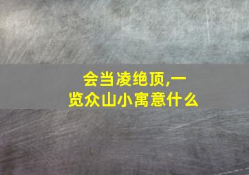 会当凌绝顶,一览众山小寓意什么