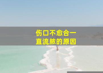 伤口不愈合一直流脓的原因