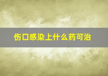 伤口感染上什么药可治