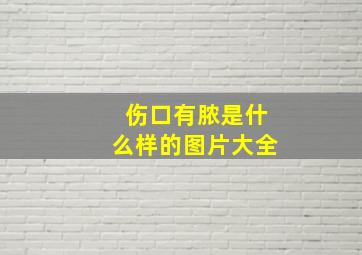 伤口有脓是什么样的图片大全