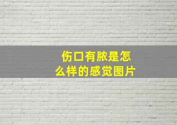 伤口有脓是怎么样的感觉图片