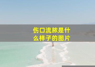 伤口流脓是什么样子的图片