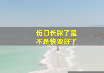 伤口长脓了是不是快要好了