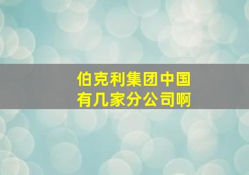 伯克利集团中国有几家分公司啊