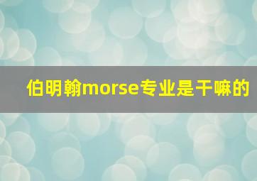 伯明翰morse专业是干嘛的