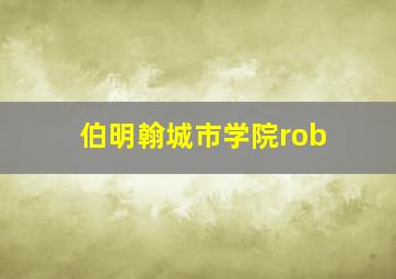 伯明翰城市学院rob