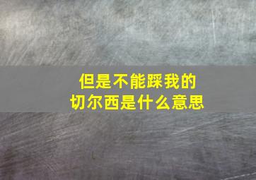 但是不能踩我的切尔西是什么意思