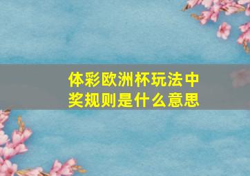 体彩欧洲杯玩法中奖规则是什么意思