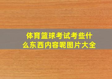 体育篮球考试考些什么东西内容呢图片大全