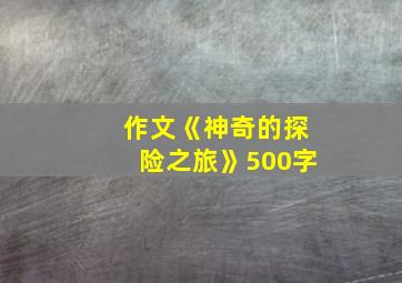 作文《神奇的探险之旅》500字