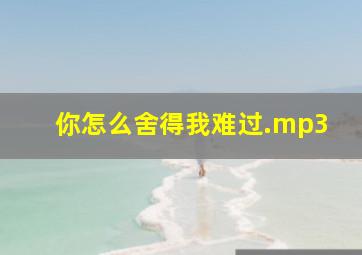 你怎么舍得我难过.mp3