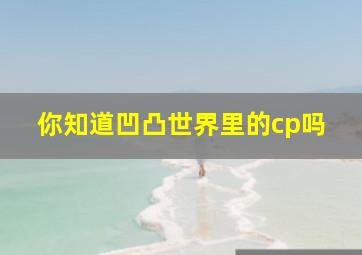 你知道凹凸世界里的cp吗