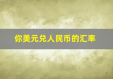 你美元兑人民币的汇率