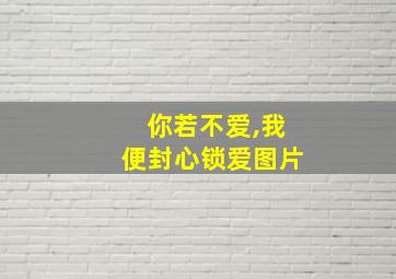 你若不爱,我便封心锁爱图片