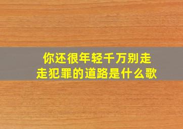 你还很年轻千万别走走犯罪的道路是什么歌