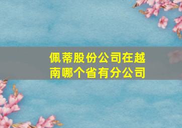 佩蒂股份公司在越南哪个省有分公司