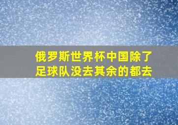 俄罗斯世界杯中国除了足球队没去其余的都去