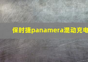 保时捷panamera混动充电