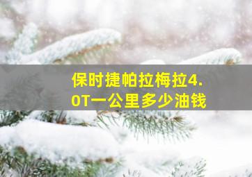 保时捷帕拉梅拉4.0T一公里多少油钱