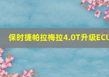 保时捷帕拉梅拉4.0T升级ECU