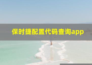 保时捷配置代码查询app