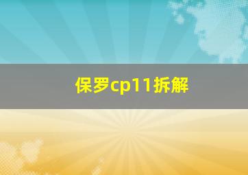 保罗cp11拆解