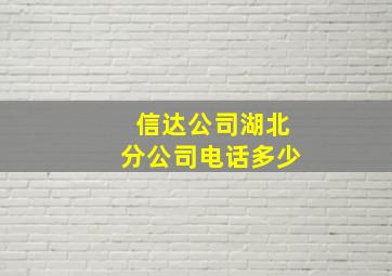 信达公司湖北分公司电话多少