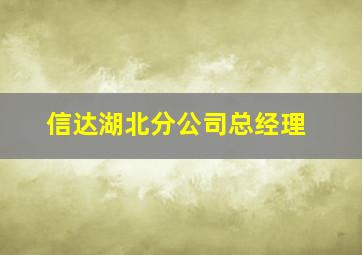 信达湖北分公司总经理