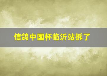 信鸽中国杯临沂站拆了