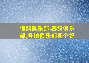 信鸽俱乐部,赛鸽俱乐部,各地俱乐部哪个好