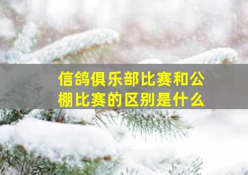 信鸽俱乐部比赛和公棚比赛的区别是什么