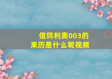 信鸽利奥003的来历是什么呢视频