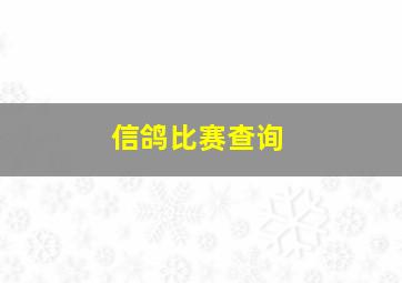 信鸽比赛查询