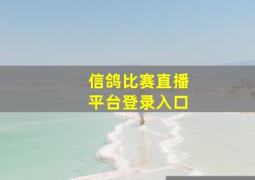 信鸽比赛直播平台登录入口