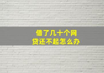 借了几十个网贷还不起怎么办