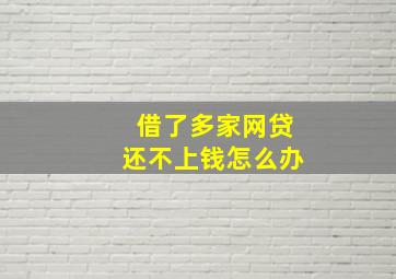 借了多家网贷还不上钱怎么办