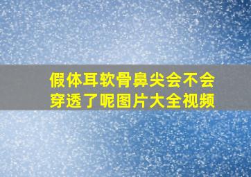 假体耳软骨鼻尖会不会穿透了呢图片大全视频