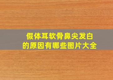 假体耳软骨鼻尖发白的原因有哪些图片大全