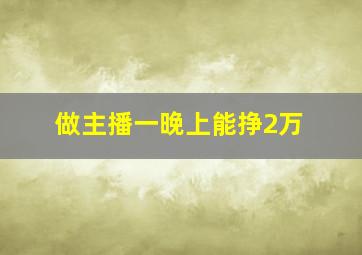 做主播一晚上能挣2万