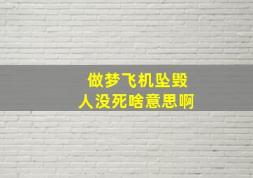 做梦飞机坠毁人没死啥意思啊