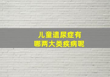 儿童遗尿症有哪两大类疾病呢