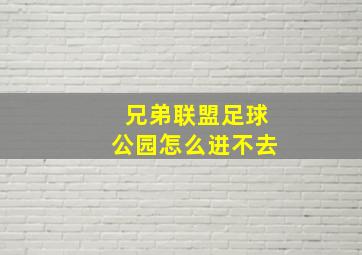 兄弟联盟足球公园怎么进不去