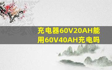 充电器60V20AH能用60V40AH充电吗